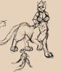 catnmouse