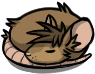 tip sleeping